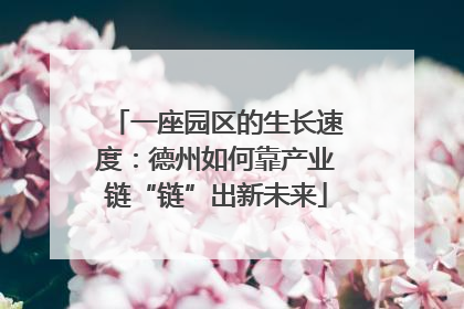 一座园区的生长速度：德州如何靠产业链“链”出新未来