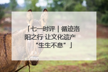 七一时评｜循迹洛阳之行 让文化遗产“生生不息”