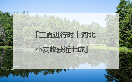 三夏进行时丨河北小麦收获近七成