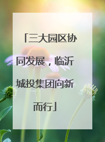 三大园区协同发展，临沂城投集团向新而行