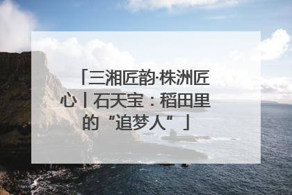 三湘匠韵·株洲匠心丨石天宝：稻田里的“追梦人”