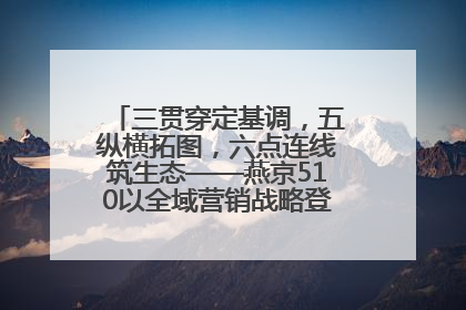三贯穿定基调，五纵横拓图，六点连线筑生态——燕京510以全域营销战略登顶行业IP新高度