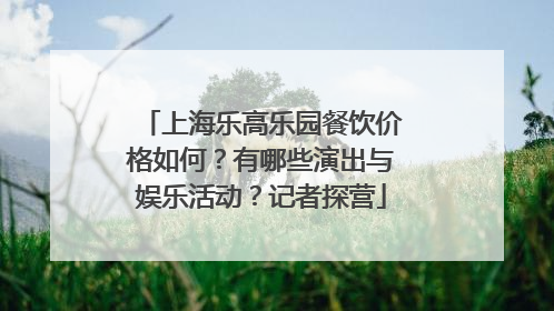 上海乐高乐园餐饮价格如何？有哪些演出与娱乐活动？记者探营