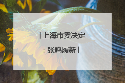 上海市委决定：张鸣履新