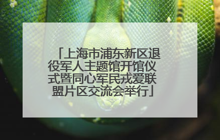 上海市浦东新区退役军人主题馆开馆仪式暨同心军民戎爱联盟片区交流会举行