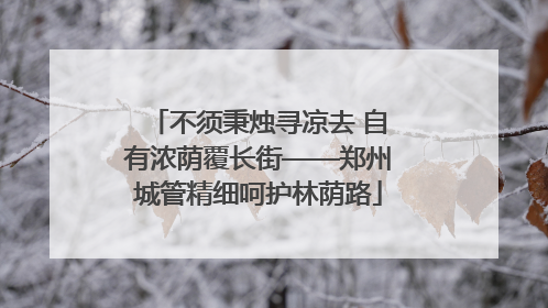 不须秉烛寻凉去 自有浓荫覆长街——郑州城管精细呵护林荫路