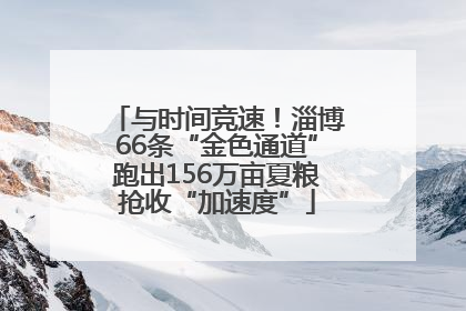 与时间竞速！淄博66条“金色通道”跑出156万亩夏粮抢收“加速度”
