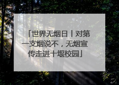 世界无烟日丨对第一支烟说不，无烟宣传走进十堰校园