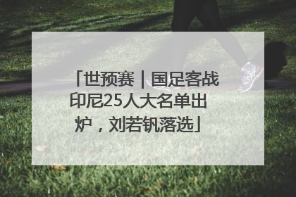 世预赛｜国足客战印尼25人大名单出炉，刘若钒落选