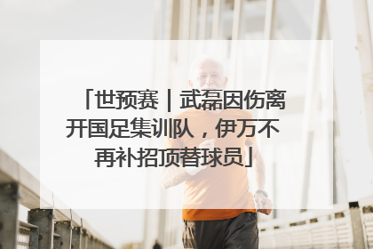 世预赛｜武磊因伤离开国足集训队，伊万不再补招顶替球员