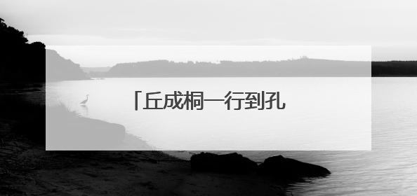丘成桐一行到孔子研究院考察