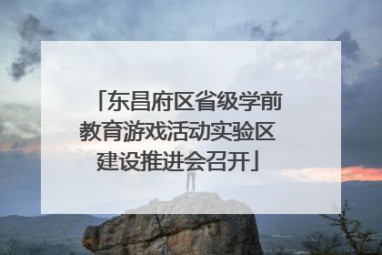 东昌府区省级学前教育游戏活动实验区建设推进会召开