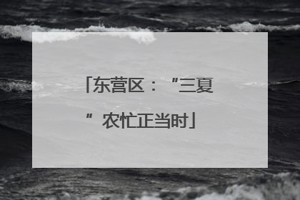 东营区：“三夏”农忙正当时