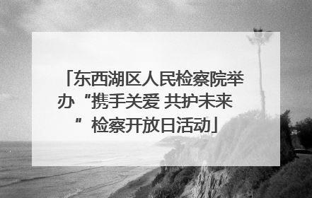东西湖区人民检察院举办“携手关爱 共护未来”检察开放日活动