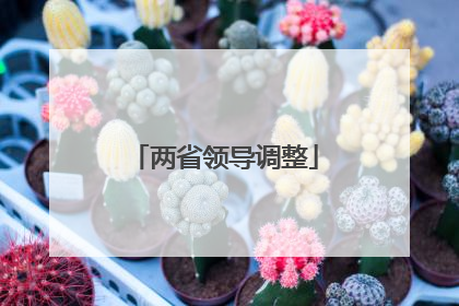 两省领导调整