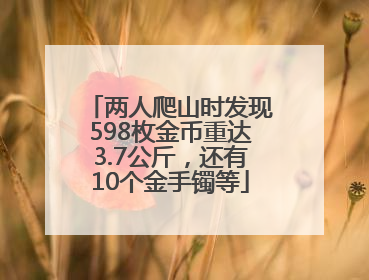 两人爬山时发现598枚金币重达3.7公斤，还有10个金手镯等