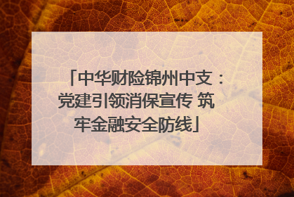 中华财险锦州中支：党建引领消保宣传 筑牢金融安全防线