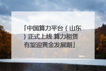 中国算力平台（山东）正式上线 算力租赁有望迎黄金发展期