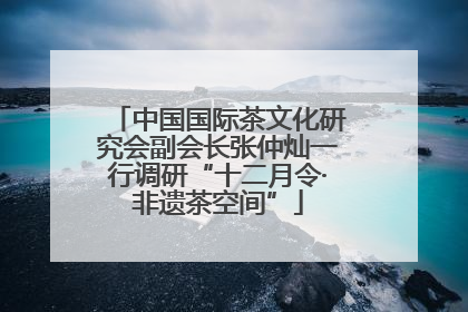 中国国际茶文化研究会副会长张仲灿一行调研“十二月令·非遗茶空间”