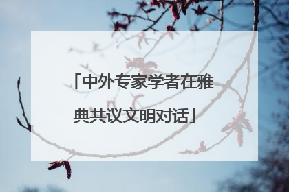 中外专家学者在雅典共议文明对话