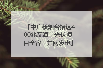 中广核烟台招远400兆瓦海上光伏项目全容量并网发电