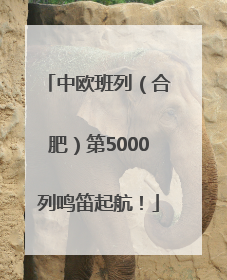中欧班列（合肥）第5000列鸣笛起航！
