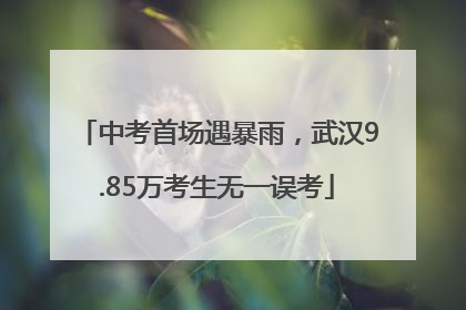中考首场遇暴雨，武汉9.85万考生无一误考