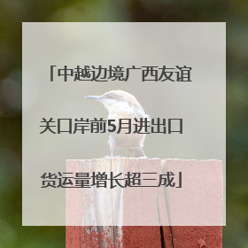 中越边境广西友谊关口岸前5月进出口货运量增长超三成