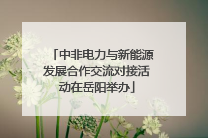 中非电力与新能源发展合作交流对接活动在岳阳举办