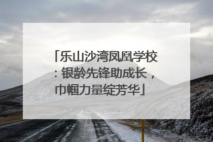 乐山沙湾凤凰学校：银龄先锋助成长，巾帼力量绽芳华