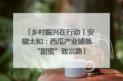 乡村振兴在行动丨安徽太和：西瓜产业铺就“甜蜜”致富路