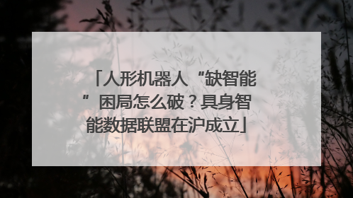 人形机器人“缺智能”困局怎么破？具身智能数据联盟在沪成立