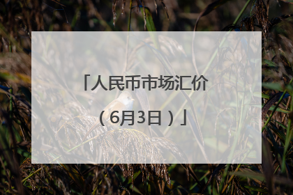 人民币市场汇价（6月3日）