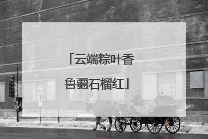 云端粽叶香 鲁疆石榴红