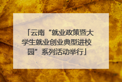 云南“就业政策暨大学生就业创业典型进校园”系列活动举行