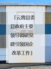 云霄县委县政府主要领导调研党建引领国企改革工作
