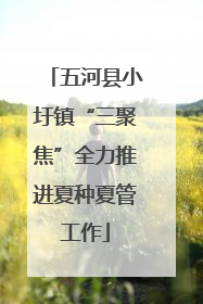 五河县小圩镇“三聚焦”全力推进夏种夏管工作