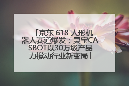 京东 618 人形机器人赛道爆发：灵宝CASBOT以30万级产品力搅动行业新变局