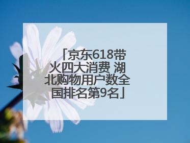 京东618带火四大消费 湖北购物用户数全国排名第9名