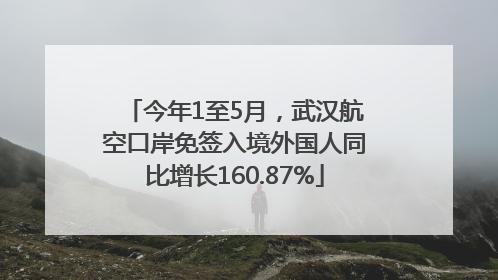 今年1至5月，武汉航空口岸免签入境外国人同比增长160.87%