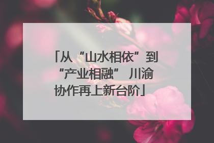 从“山水相依”到“产业相融” 川渝协作再上新台阶