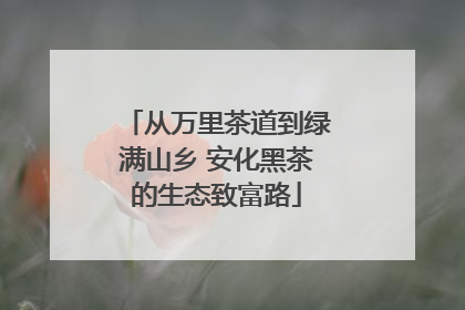 从万里茶道到绿满山乡 安化黑茶的生态致富路
