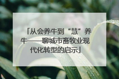 从会养牛到“慧”养牛——聊城市畜牧业现代化转型的启示