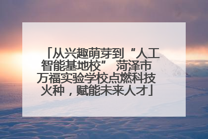 从兴趣萌芽到“人工智能基地校” 菏泽市万福实验学校点燃科技火种，赋能未来人才