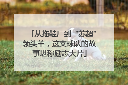 从拖鞋厂到“苏超”领头羊，这支球队的故事堪称励志大片
