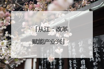 从江：改革赋能产业兴