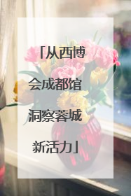 从西博会成都馆洞察蓉城新活力