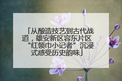 从酿造技艺到古代战道，雄安新区容东片区“红领巾小记者”沉浸式感受历史韵味
