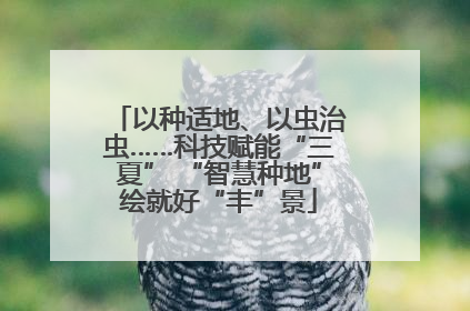 以种适地、以虫治虫……科技赋能“三夏” “智慧种地”绘就好“丰”景
