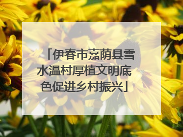 伊春市嘉荫县雪水温村厚植文明底色促进乡村振兴